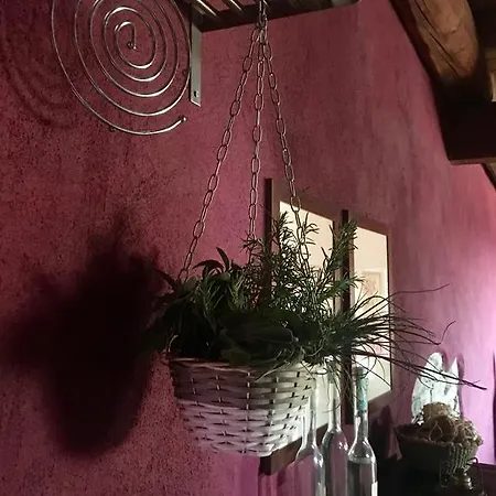 Una Chicca Nelle Langhe بيت للعطل دولياني