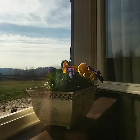 Una Chicca Nelle Langhe * دولياني