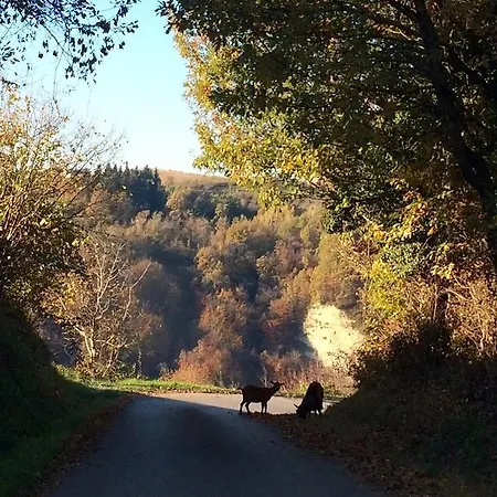 Una Chicca Nelle Langhe Dogliani