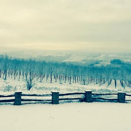 Una Chicca Nelle Langhe * دولياني